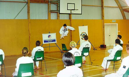 jump3.jpg (32958 bytes)