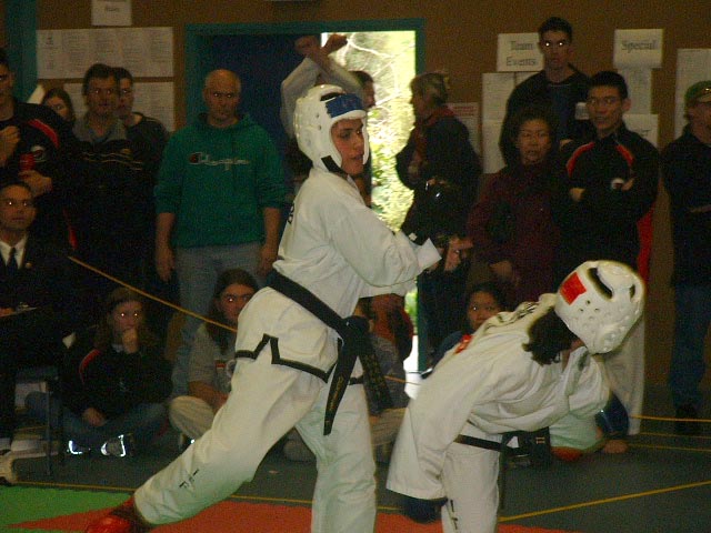 Image 41 of 64  -  81 kB